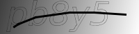 captcha verification