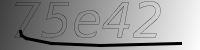 captcha verification