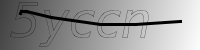 captcha verification