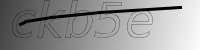 captcha verification