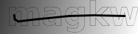 captcha verification