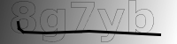 captcha verification
