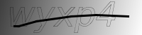 captcha verification