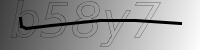 captcha verification